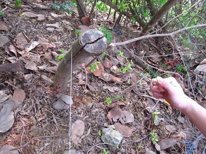 Survival Gear Stainless Steel Wire Saw